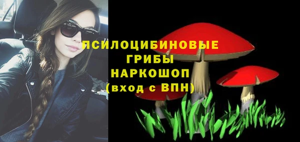 a pvp Пересвет