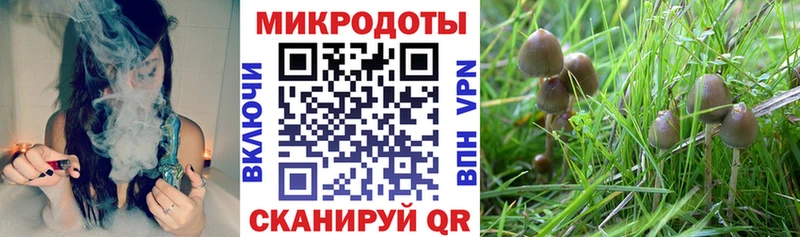 Псилоцибиновые грибы GOLDEN TEACHER  Таруса 